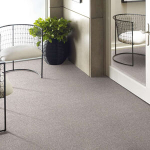 Shaw Carpet Take The Floor
