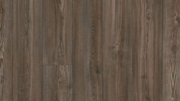 COREtec Plus Premium Keystone Pine 7"
