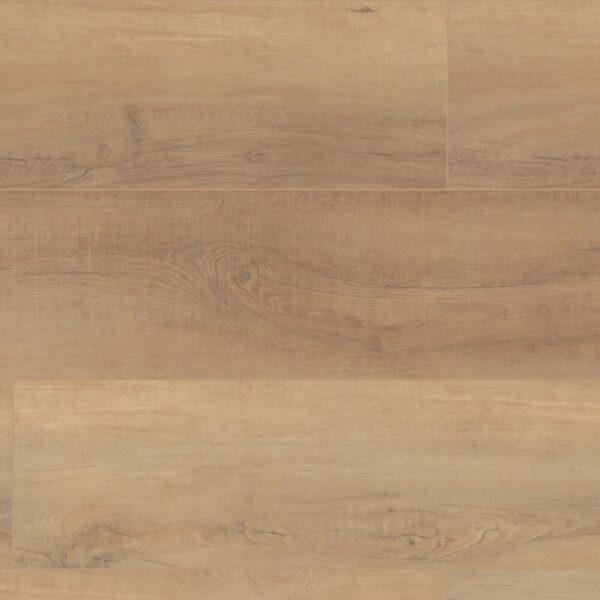 COREtec Pro Plus HD Canterbury Elm 9"