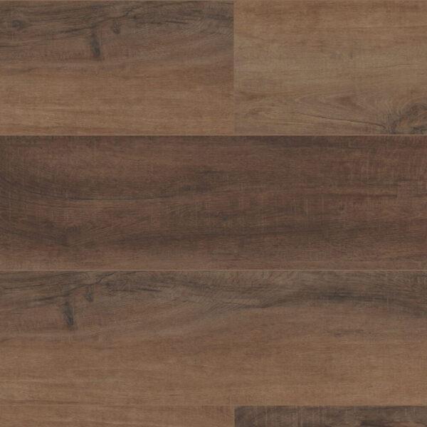 COREtec Pro Plus HD Cheshire Elm 9"